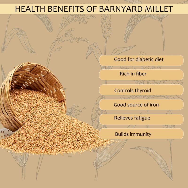Barnyard Millet (Kuthiraivali Arisi) - Image 3